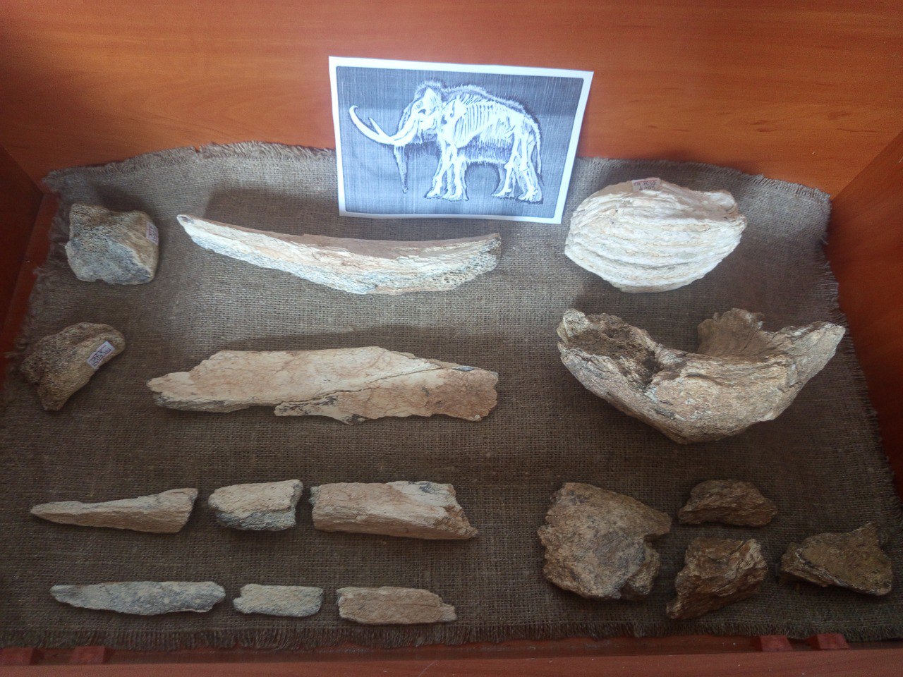 Вітаємо всіх причетних з професійним святом - Днем археолога!